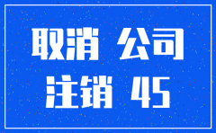 个人独资小规模公司注销