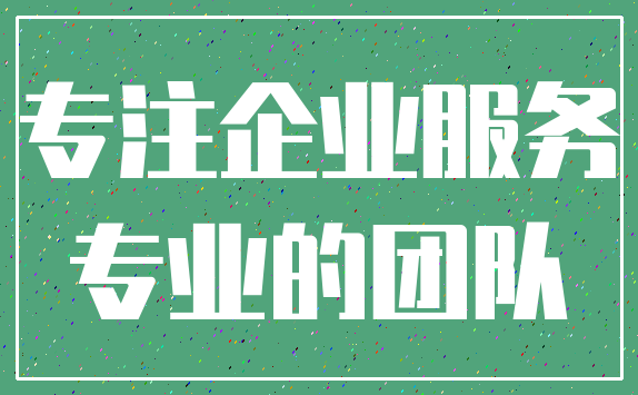 专注企业服务_专业的团队
