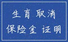 公司注销生育津贴如何办理流程
