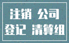 公司注销会议是什么性质