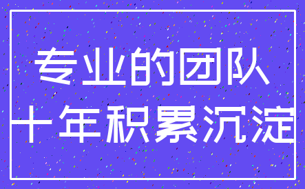 专业的团队_十年积累沉淀