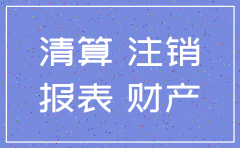 子公司注销清算报表