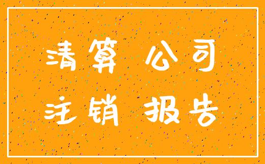 清算 公司_注销 报告
