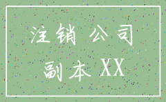 公告注销公司