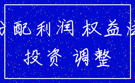 分配利润 权益法_投资 调整