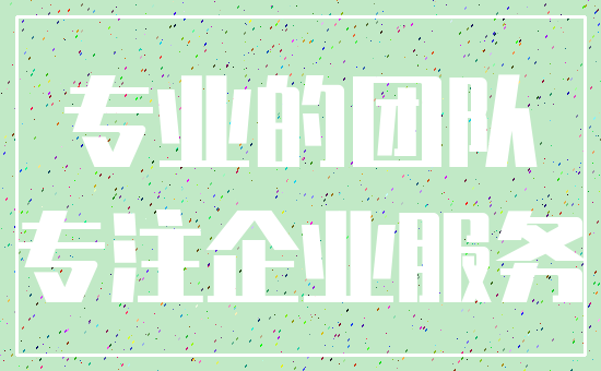 专业的团队_专注企业服务