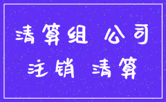 想注销公司法人不同意