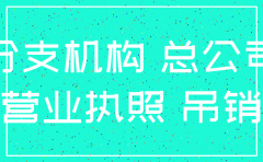 如何情况下分公司不被总公司注销