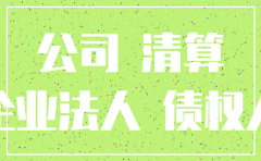 股东对公司非法注销的起诉