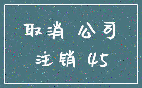 取消 公司_注销 45