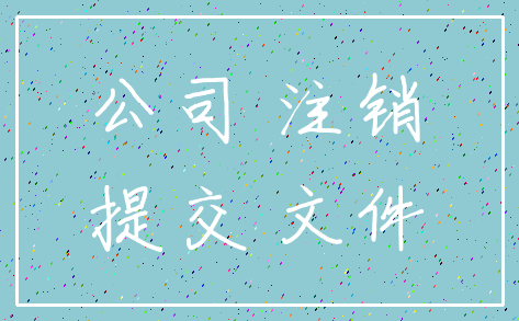 公司 注销_提交 文件