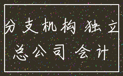分支机构 独立_总公司 会计