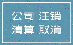 企业注销后资产如何注入新公司