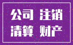 在诉讼过程中 公司注销