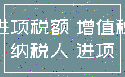 进项税额 增值税_纳税人 进项