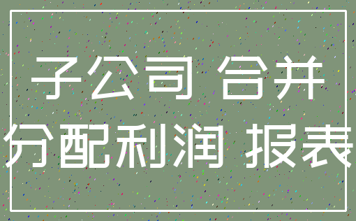 子公司 合并_分配利润 报表