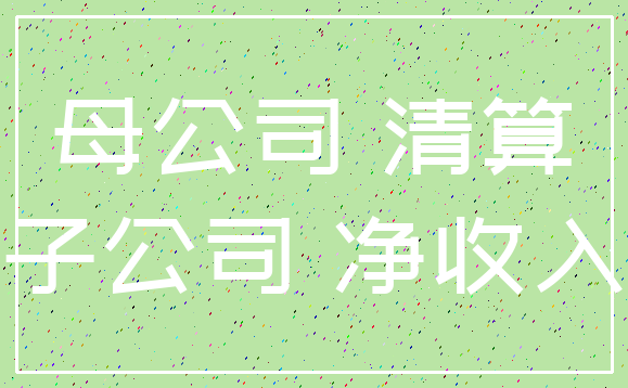 母公司 清算_子公司 净收入