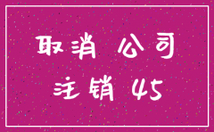 注销小公司带什么手续费