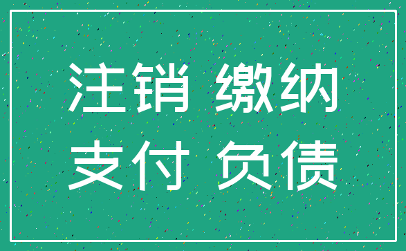 注销 缴纳_支付 负债