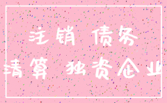 一人独资公司注销承担责任