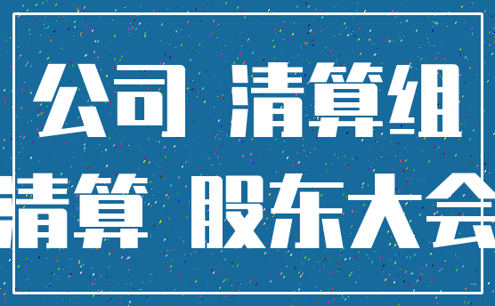 公司 清算组_清算 股东大会