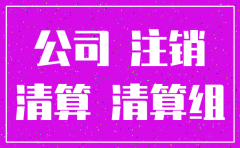 办理注销分公司流程