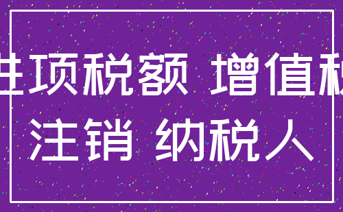进项税额 增值税_注销 纳税人