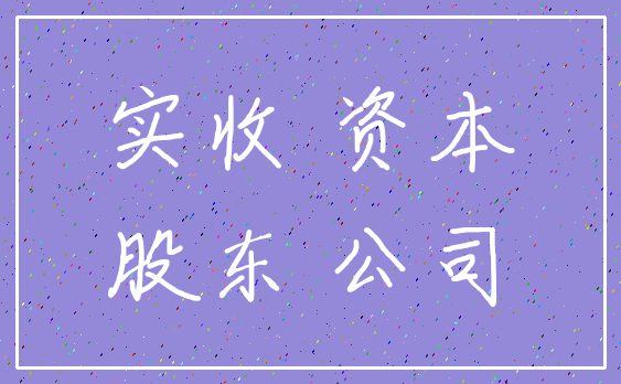 实收 资本_股东 公司