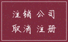 浙江省公司简易注销规定