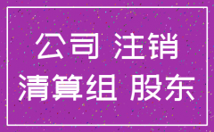注册公司股东注销流程
