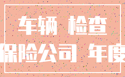 车辆 检查_保险公司 年度