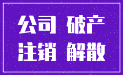 公司破产或注销要的哪里办理