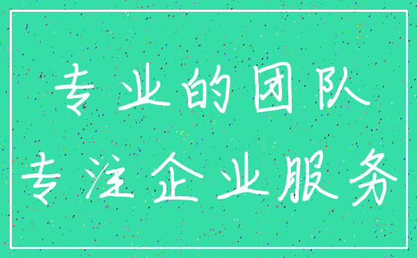 专业的团队_专注企业服务