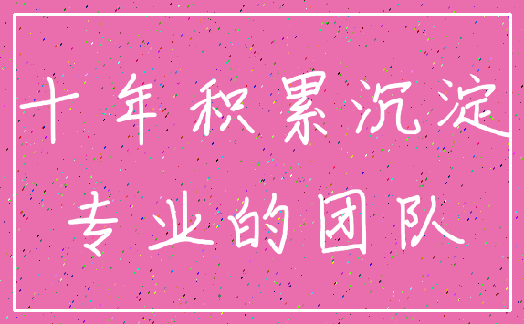 十年积累沉淀_专业的团队