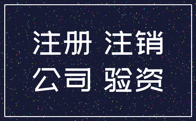 注册 注销_公司 验资