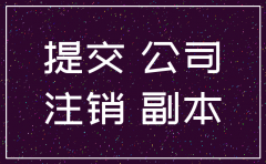 提交注销公司资料在哪里预约号