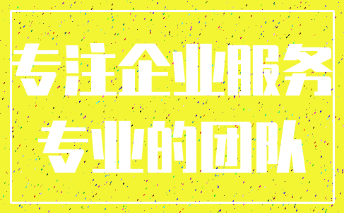 专注企业服务_专业的团队