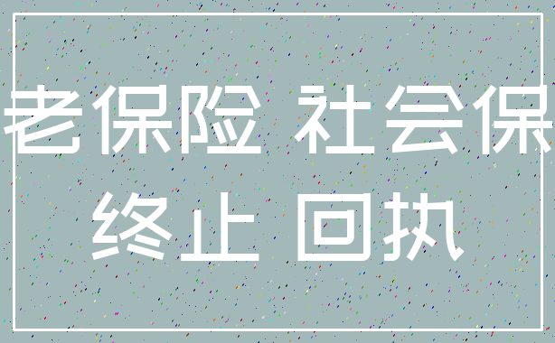 养老保险 社会保障_终止 回执