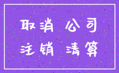 小型有限公司注销流程