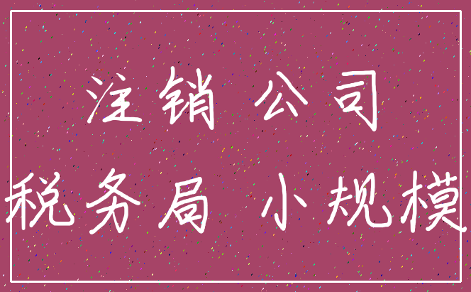 注销 公司_税务局 小规模