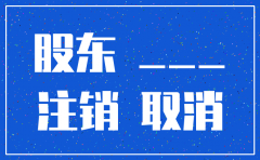 注销一人公司股东决议范本