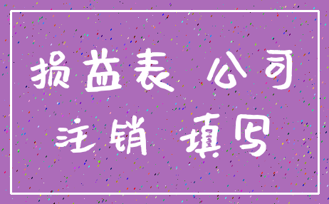 损益表 公司_注销 填写