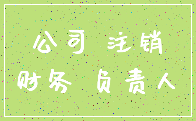 公司 注销_财务 负责人