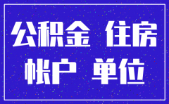 分公司注销后是否可以追缴公积金