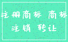 公司注销一年后商标怎么办理