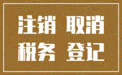 个人独资公司注销一般纳税人