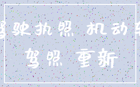 驾驶执照 机动车_驾照 重新