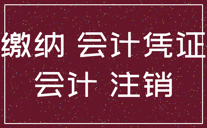 缴纳 会计凭证_会计 注销