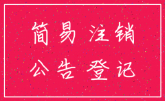 湖北省工商局简易注销公司填报表