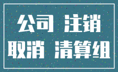 公司税务注销一般会查出什么问题